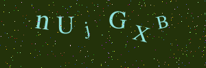 Validation image