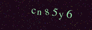 Validation image